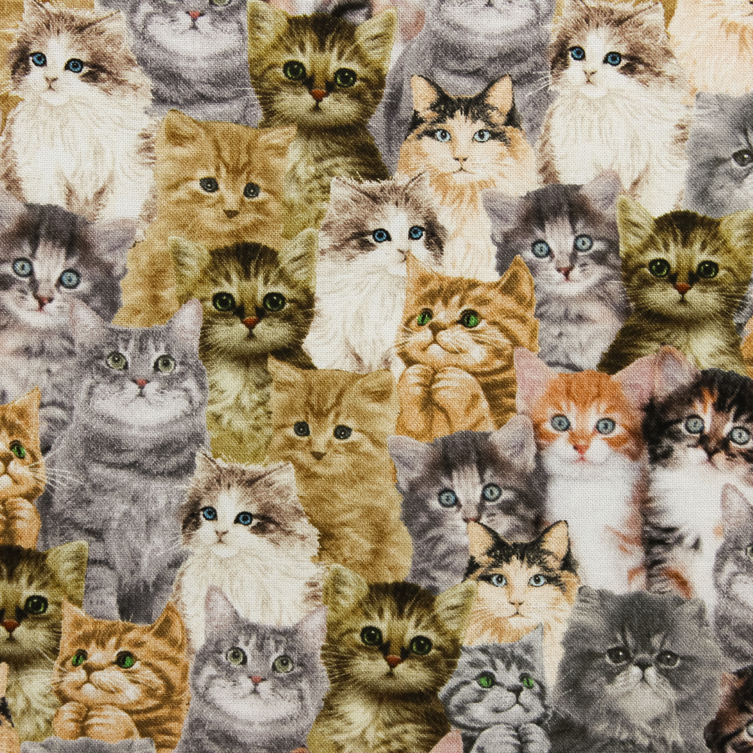 Katoen multicolor met kleine katten